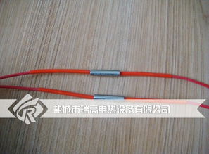 双头出线电热管