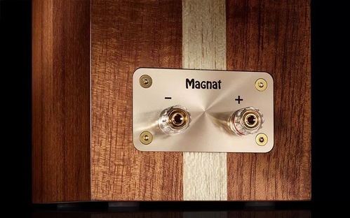 睿智与优雅并重 magnat humidor书架音箱