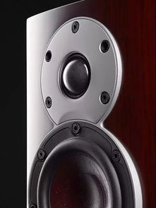 小小体积,不凡感受 dali menuet书架音箱