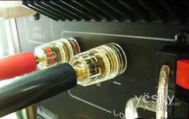 书架音箱新王者 三诺n 50g新版1288元上市